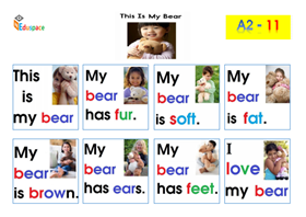 A11- Print A3-This is may Bear
